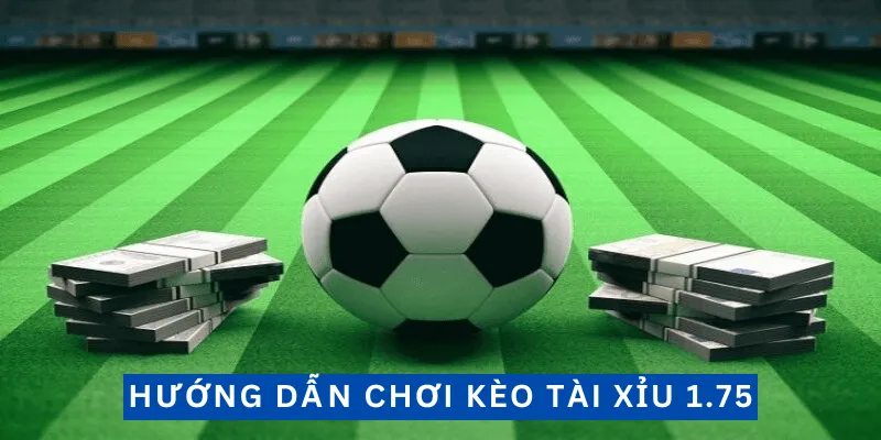 Đọc thể loại cá độ tài xỉu 1 ¾ siêu đơn giản