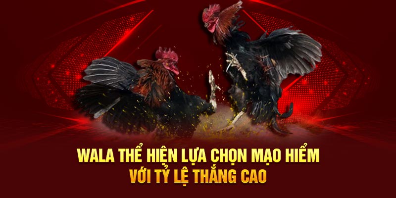 Wala thể hiện lựa chọn mạo hiểm với tỷ lệ thắng cao